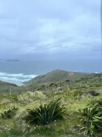 Cape Reinga