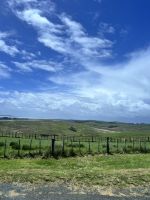 Landschaft Neuseelands