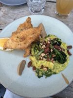 Risotto mit frischem Fisch