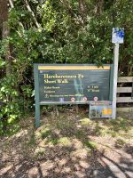 Kleiner Waldspaziergang