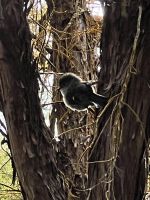 Thermal Wunderland Wai O Tapu