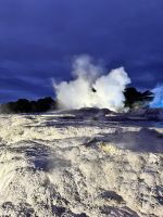 Maori Kultur Te Puia - Geysir