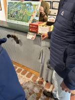 Nga Manu Nature Reserve