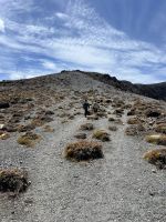 Tongariro Nationalpark - zum UPPER Tama Lake