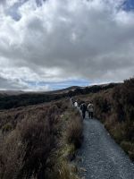 Wanderung zum Tama Lake