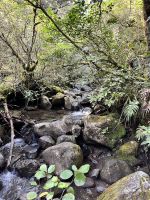 Wanderung zum Tama Lake