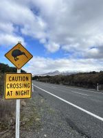 Road mit Kiwi Straßenschild