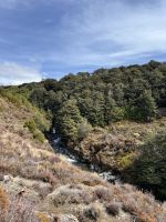Durch den Tongariro Nationalpark