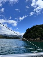 Abel Tasman Nationalpark - auf unserem Katamaran 