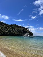 Abel Tasman Nationalpark - Waldspaziergang