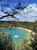 Abel Tasman Nationalpark - Waldspaziergang