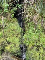 Tauranga Bay - Mini-Wasserfall