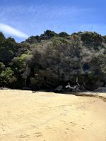 Abel Tasman Nationalpark - am Strand