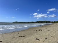 Moeraki Boulders - Strand