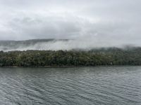 Auf dem Weg zur Glühwürmchenhöhle