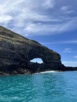 Hector Delfin Ausflug