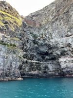 Hector Delfin Ausflug