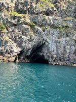 Hector Delfin Ausflug