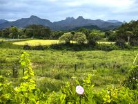 Unterwegs auf der Coromandel Halbinsel