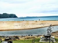 Strand auf der Coromandel Halbinsel