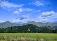 Wunderschöne Hügellandschaft der Coromandel Halbinsel