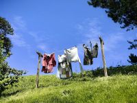 Wäscheplatz der Hobbits