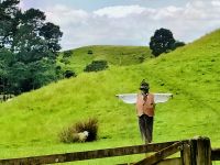 Schaf mit Vogelscheuche in Hobbiton