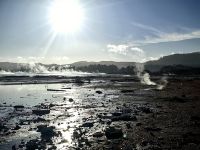 Es dampft in Rotorua