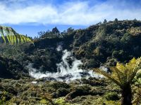 Es pufft und zischt und riecht verdammt nach Schwefel in Te Puia