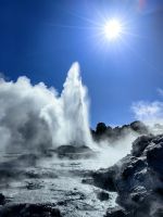 Ein Geysir bricht in Te Puia aus