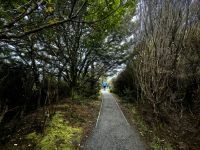 Wanderwege im Tonggariro Nationalpark