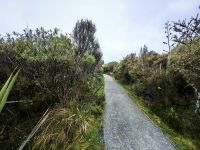 Wanderwege im Tonggariri Nationalpark