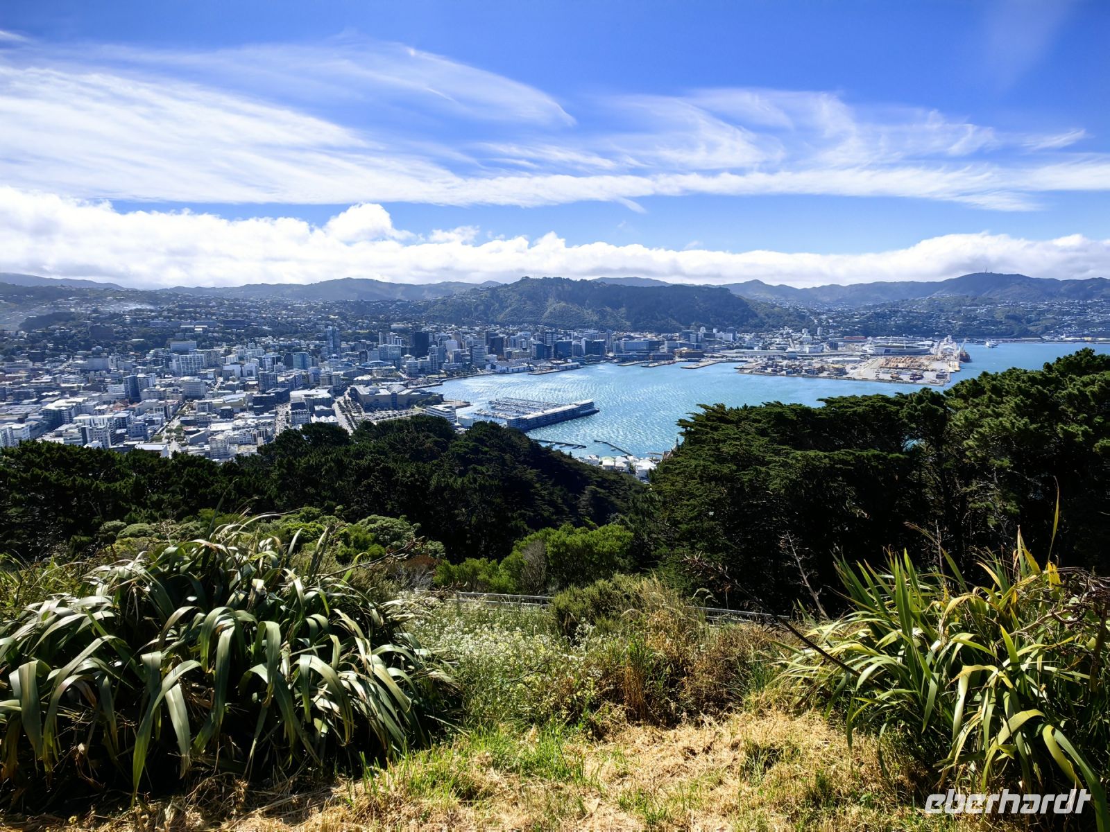 Blick auf Wellington vom Mount Victoria aus