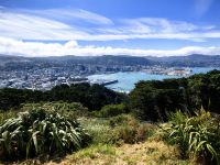 Blick auf Wellington vom Mount Victoria aus