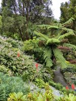 Weg durch den Botanischen Garten in Wellington