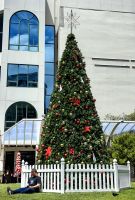 Weihnachtsdekoration mitten in Wellington