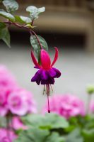 011 - Singapur, Gardens by the Bay