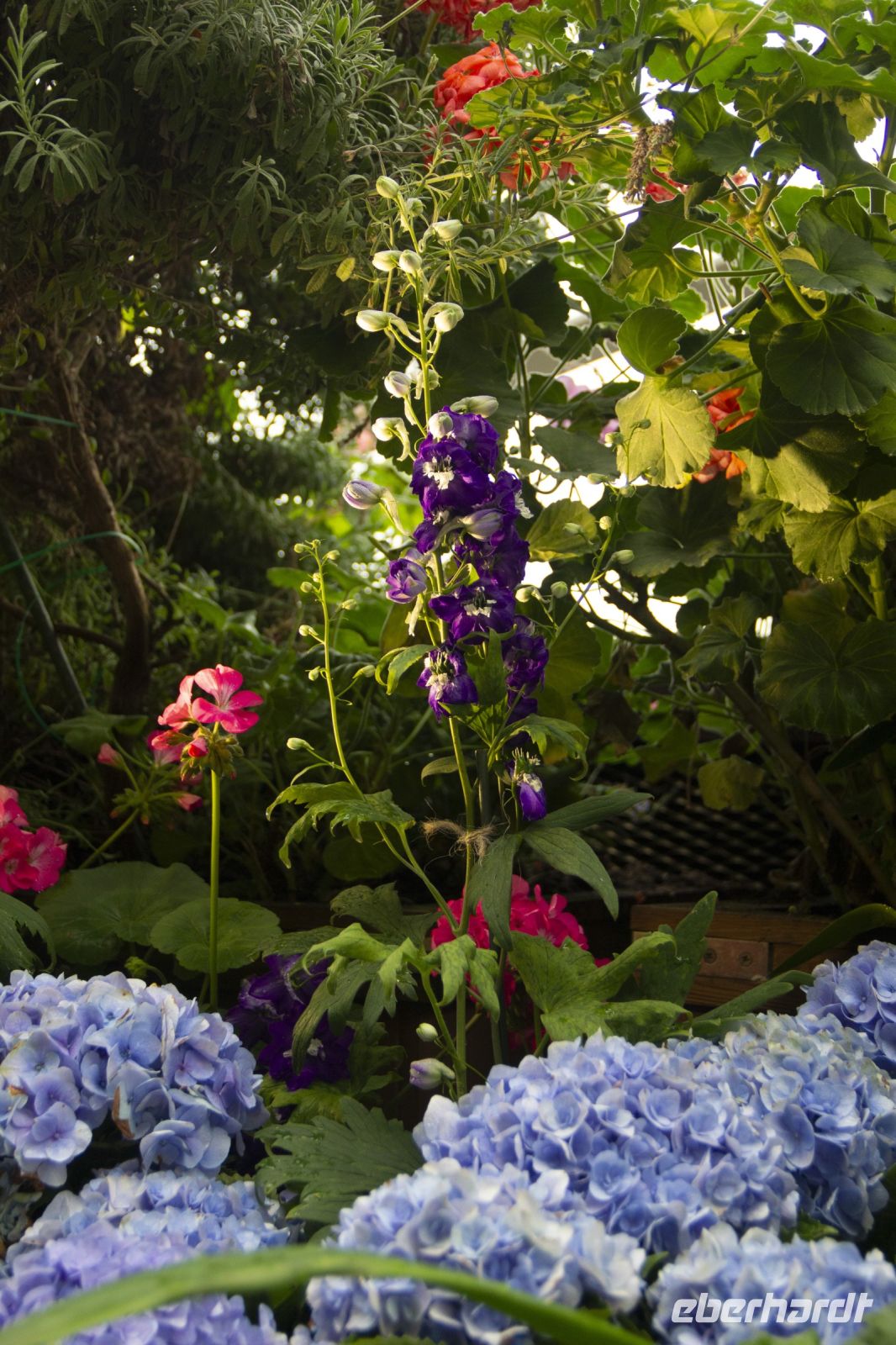 015 - Singapur, Gardens by the Bay