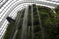 016 - Singapur, Gardens by the Bay