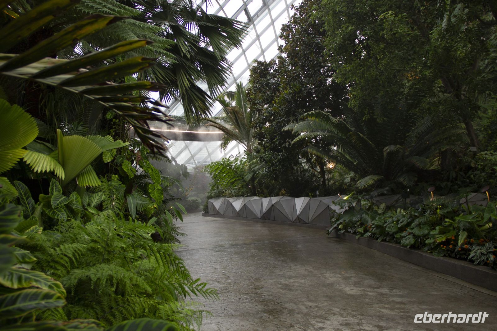 019 - Singapur, Gardens by the Bay