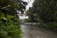 019 - Singapur, Gardens by the Bay