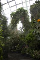 020 - Singapur, Gardens by the Bay