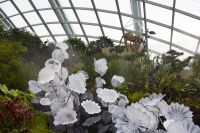 021 - Singapur, Gardens by the Bay