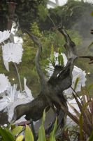 023 - Singapur, Gardens by the Bay