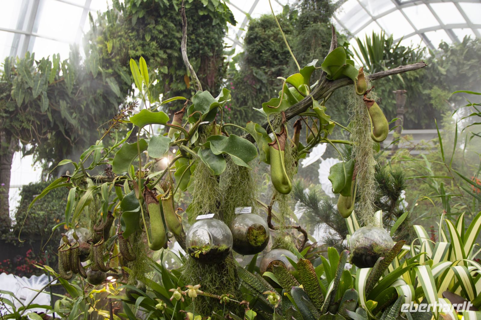 024 - Singapur, Gardens by the Bay