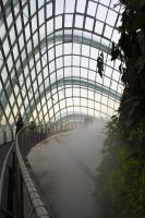 029 - Singapur, Gardens by the Bay