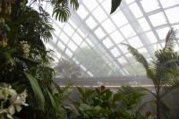 031 - Singapur, Gardens by the Bay