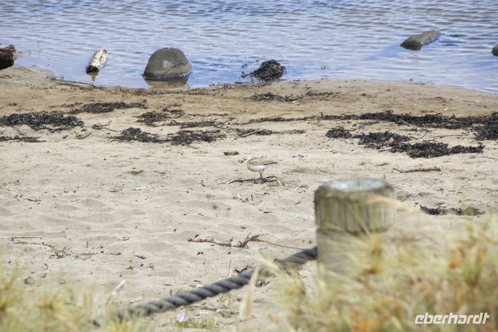 133 - Hot Water Beach