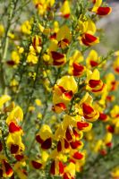 187 - Tangariro-Nationalpark