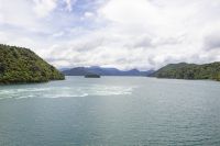 215 - Überfahrt Nordinsel zur Südinsel